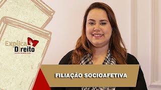 Explica Direito Filiação Socioafetiva  2019 [upl. by Inglebert]