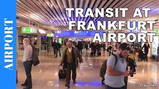 TRANSIT WALK AT FRANKFURT Airport FRA Terminal 1  Connection Flight Transfer Arriving amp Departing [upl. by Schofield424]